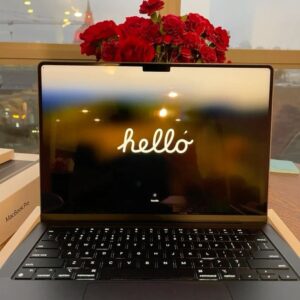 Notebook Purple G952VX-T7008T